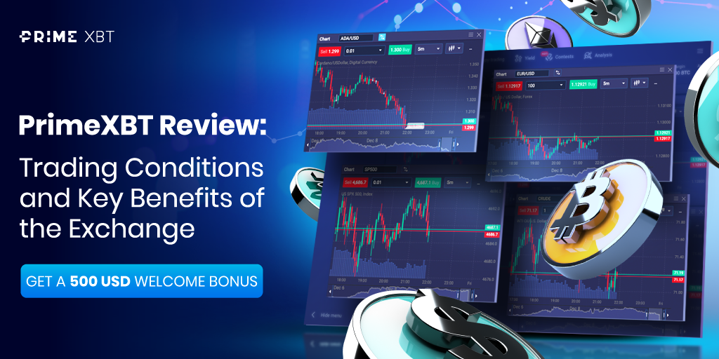 Discover the Potential Copy Trading on PrimeXBT